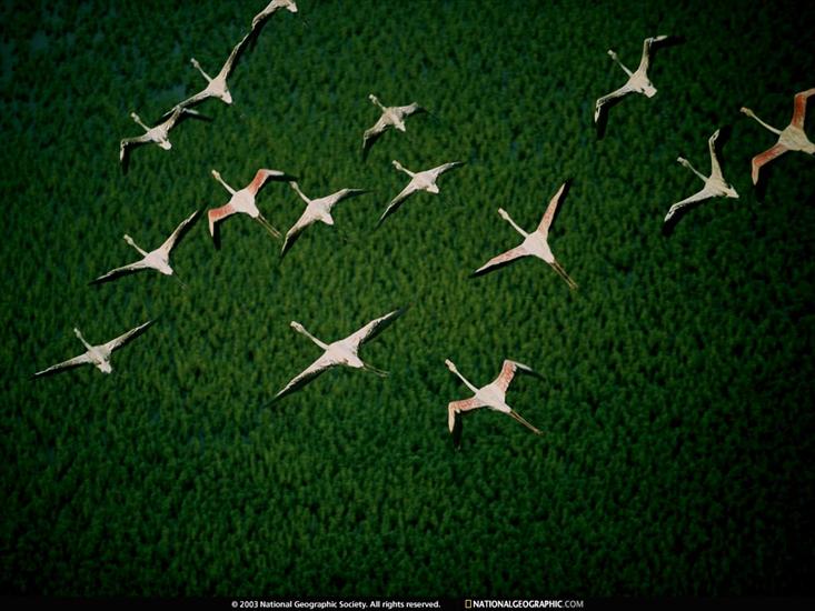 National Geographic - NGM2001_09Final.jpg