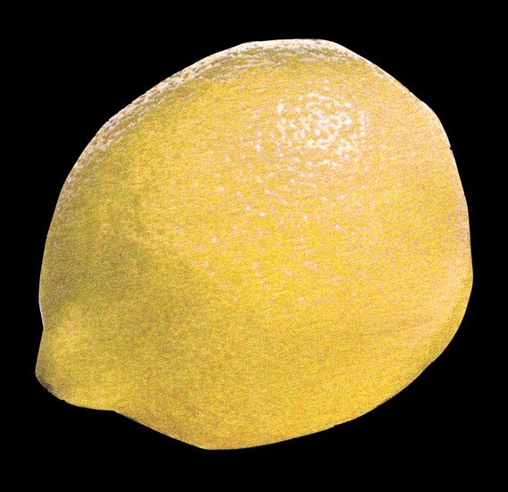Fruits  Vegetables - lemon-03.png